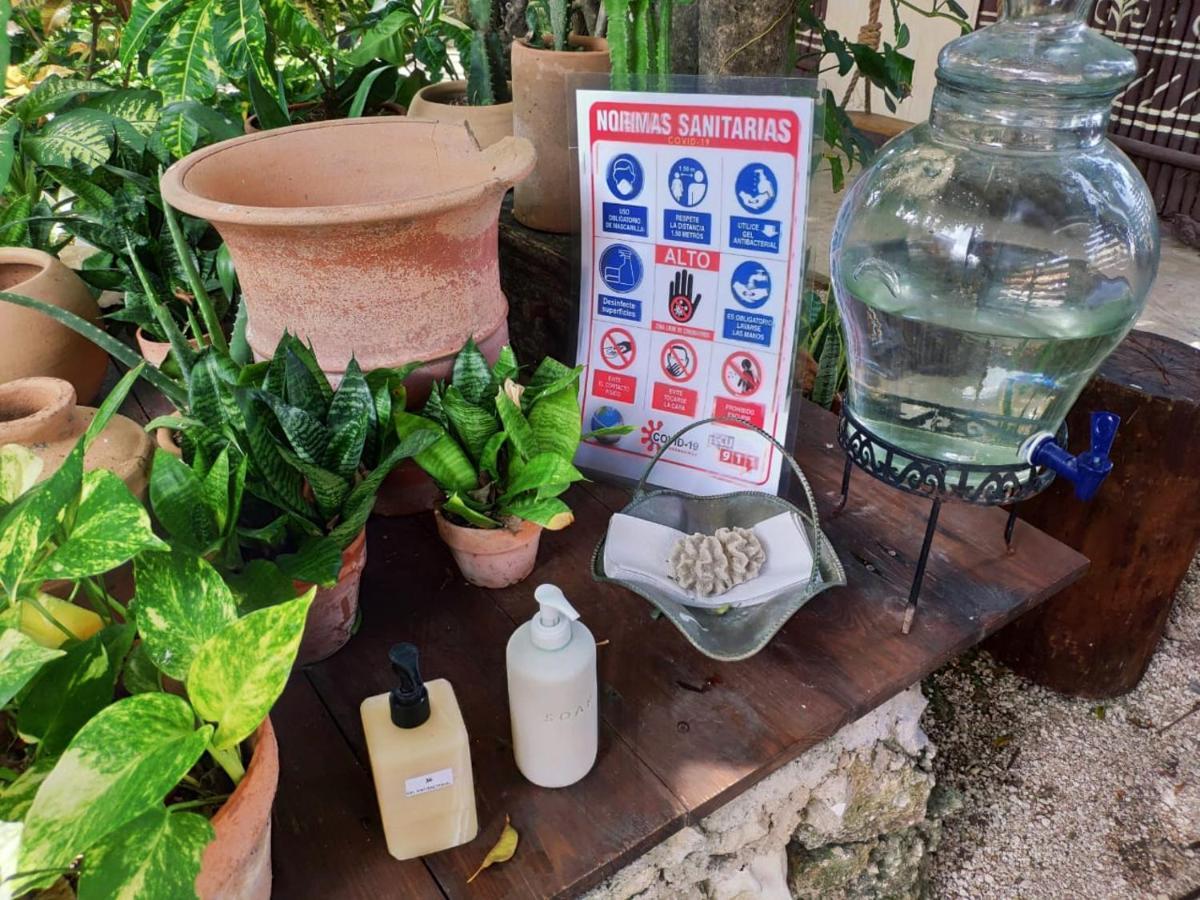 Secret Garden Tulum Hotel Dış mekan fotoğraf