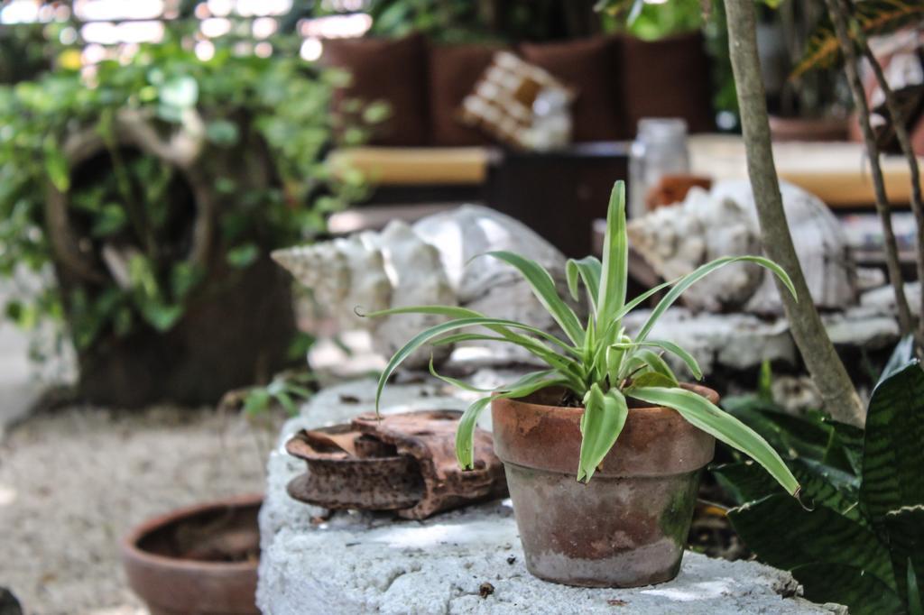 Secret Garden Tulum Hotel Dış mekan fotoğraf