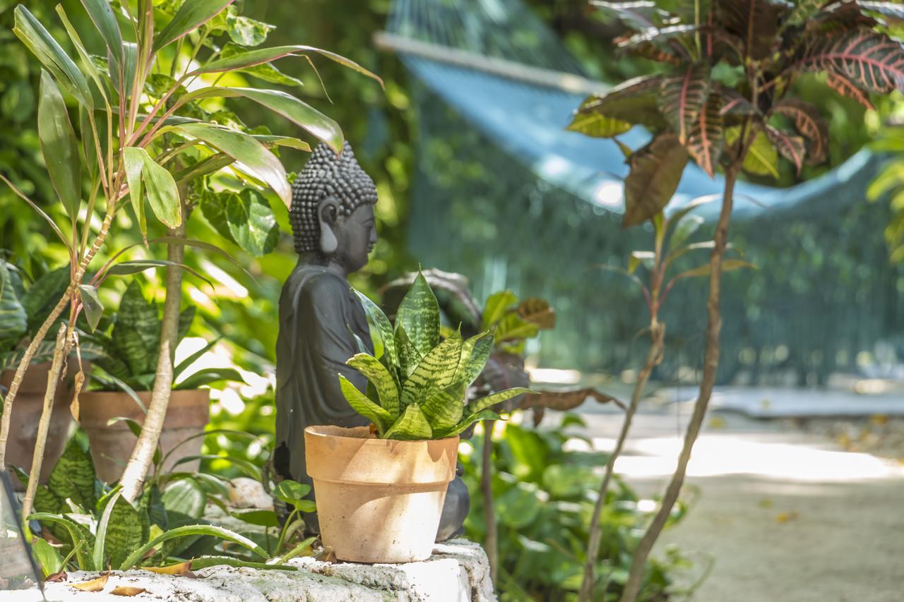 Secret Garden Tulum Hotel Dış mekan fotoğraf