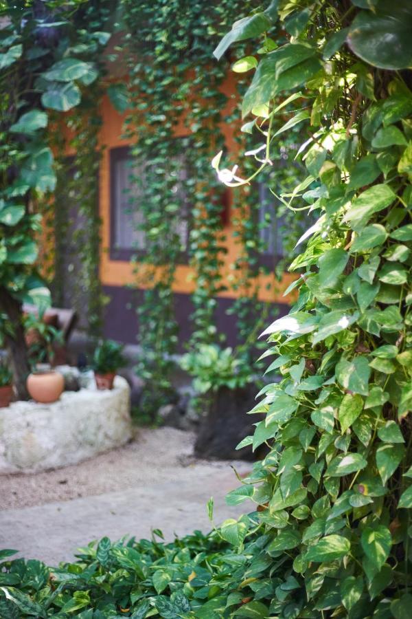 Secret Garden Tulum Hotel Dış mekan fotoğraf